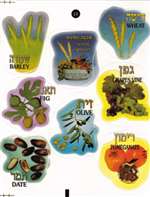 Seven Spices Stickers - 8/sheet - 3 pack