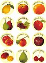 Fruits Stickers - 12/sheet - 10 pack