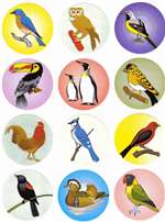 Bird Stickers - 12/sheet - 10 pack