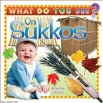 What Do You See on Sukkos? (BB)